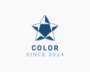 Simple Blue Star Logo