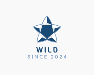 Generic - Simple Blue Star logo design