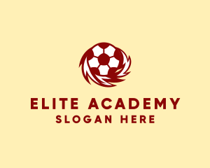 Sports Network - Flame Soccer Club logo design