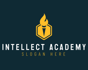 Academic - Hexagon Academic Torch logo design