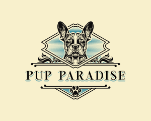 Vintage French Bulldog logo design