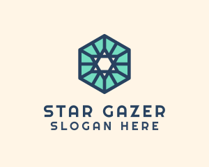 Simple Hexagon Star logo design