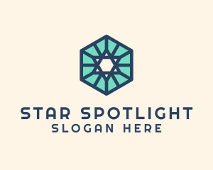 Simple Hexagon Star logo design