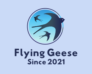 Blue Flying Birds  logo design