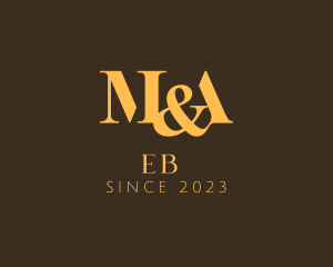 Professional - Elegant Modern Business logo design