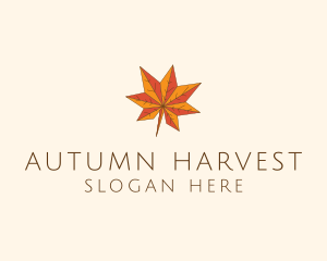 Autumn - Maple Autumn Season logo design