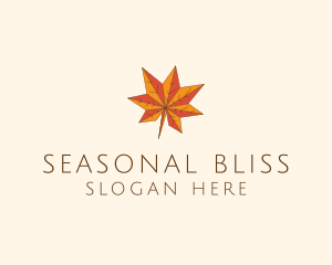 Season - Maple Autumn Season logo design
