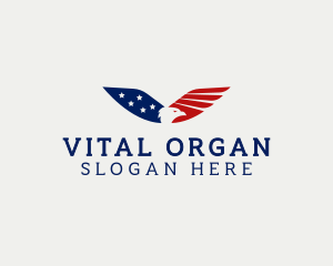 American Eagle Veteran Organization logo design