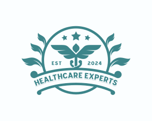 Caduceus Medical Healthcare logo design