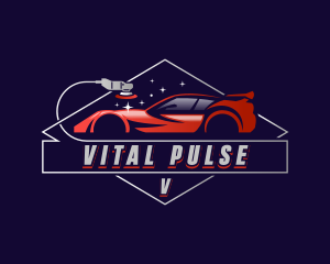 Car Detailing Polish logo design