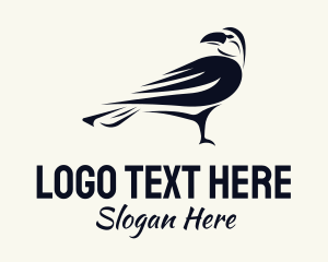 Seagull - Black Crow Bird logo design