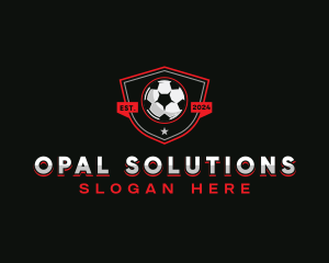 Soccer Ball Sport Logo