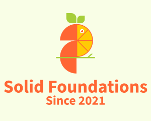 Fruit Juice - Orange Toucan Fruit logo design