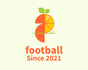Flying - Orange Toucan Fruit logo design