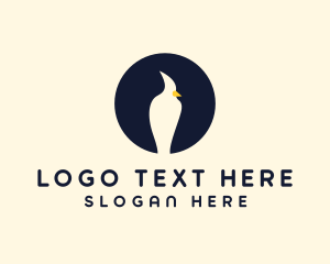 Avian - Minimalist Gull Bird logo design