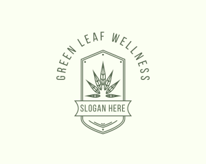 Marijuana Leaf Plant logo design