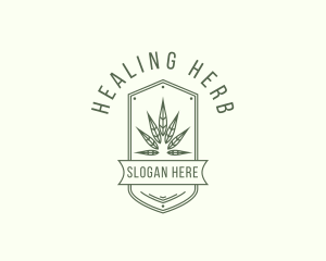 Medicinal - Marijuana Leaf Plant logo design