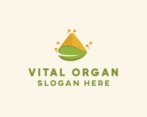 Healthy Organic Sugar  logo design