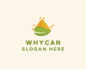 Spicy - Healthy Organic Sugar logo design