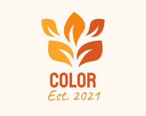Colorful Autumn Leaf  logo design