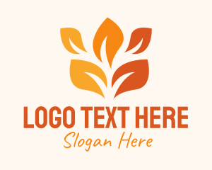 Colorful Autumn Leaf  Logo