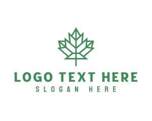 Nationality - Geometric Maple Leaf logo design