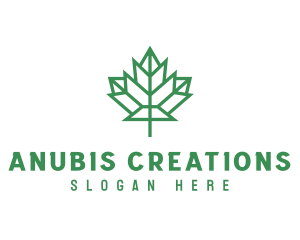 Geometric Maple Leaf logo design