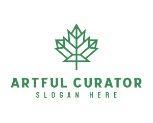 Geometric Maple Leaf logo design