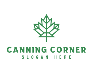 Geometric Maple Leaf logo design