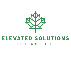 Geometric Maple Leaf logo design