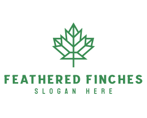 Geometric Maple Leaf logo design