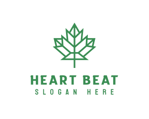 Geometric Maple Leaf logo design