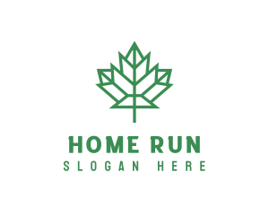 Geometric Maple Leaf logo design