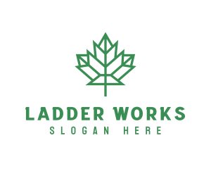 Geometric Maple Leaf logo design