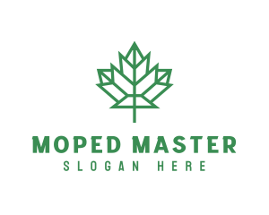 Geometric Maple Leaf logo design