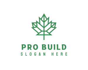 Geometric Maple Leaf logo design