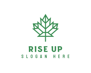 Geometric Maple Leaf logo design