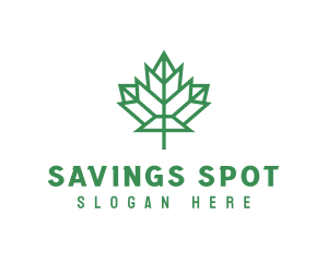 Geometric Maple Leaf logo design