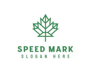 Geometric Maple Leaf logo design