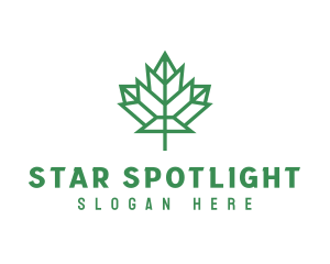 Geometric Maple Leaf logo design