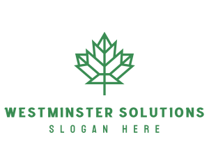 Geometric Maple Leaf logo design