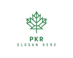 Geometric Maple Leaf logo design