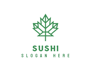 Geometric Maple Leaf logo design