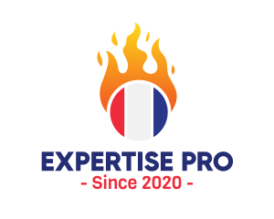 Flaming France Flag  logo design