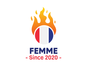 Flaming France Flag  logo design