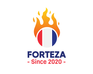 Flaming France Flag  logo design