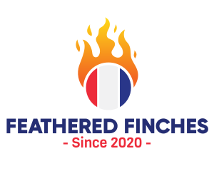 Flaming France Flag  logo design