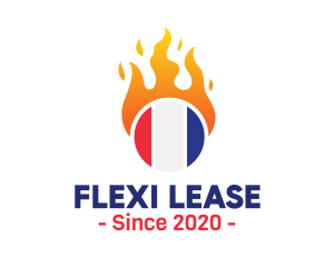 Flaming France Flag  logo design