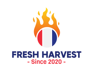 Flaming France Flag  logo design