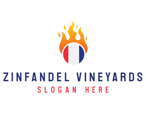 Flaming France Flag  logo design